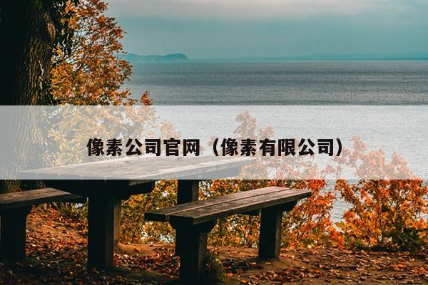 像素公司官网（像素有限公司） 黑帽SEO工具 第1张